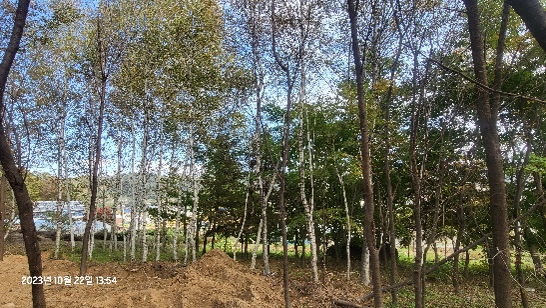 포천농장 전경